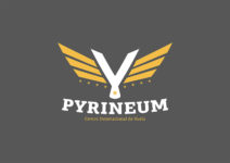 pyrineum escuela de ultraligeros